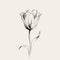 Minimalistic Line Drawing Of A Tulip In Hazy Romanticism Style