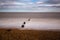 Minimalistic long exposure looking out to sea at Bawdsey, Suffolk, UK.