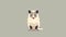 Minimalistic Opossum Illustration On Gray Background