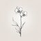 Minimalistic Orchid Illustration: Graceful Balance In Monochrome