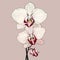 Minimalistic Orchid Vector Graphic With Bold Color Scheme