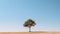 Minimalistic Outdoor Scene Featuring a Solitary Tree Against a Clear Blue Sky. Generative ai