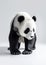 Minimalistic Panda Bear Photography on White Studio Background. Generative AI