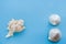 Minimalistic pastel blue background with three seashells with copy space.