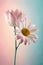 minimalistic pastel daisy flower artwork. elegant wallpaper design. pink teal gradient colors. simplistic art background. modern