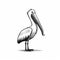 Minimalistic Pelican Drawing: Unique Character Design In Dark And Light Tones