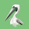 Minimalistic Pelican Illustration On Green Background