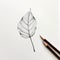 Minimalistic Pencil Drawing Of A Childproof Beech Leaf