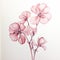 Minimalistic Pencil Illustration Of Pink Flowers: Accurate And Detailed Artwork