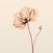 Minimalistic Pencil Sketch Of A Poppy Flower On Beige Background