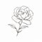 Minimalistic Peony Flower Drawing: Simplified Line Work For Trendy Tattoo Design