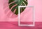 Minimalistic pink layout with white frame standing and monstera leaf