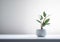 Minimalistic Plant in a Bowl. Serene Nature in White Room. Generative AI