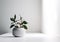 Minimalistic Plant in a Bowl. Serene Nature in White Room. Generative AI