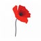 Minimalistic Poppy Flower Icon On White Background