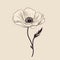 Minimalistic Poppy Flower Outline Tattoo Design On Beige Background