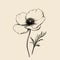 Minimalistic Poppy Flower Sketch Drawing On Beige Background