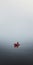 Minimalistic Portraits A Red Boat Sailing In The Fog