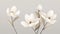 Minimalistic Scandinavian Style Botanical Poster With White Magnolia Flowers