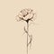 Minimalistic Single Flower Sketch In Nostalgic Romanticism Style
