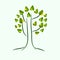 Minimalistic stylized drawing of a tree with colorful green leaves. Tree doodle illustration, can be used as icon or logo.