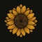 Minimalistic Sunflower Vector Illustration In Gold On Black Background