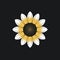 Minimalistic Sunflower Vector Logo On Black Background