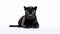 Minimalistic Superb Clean Image of a Black Panther on White Background AI Generated