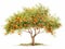 Minimalistic Superb Watercolor Illustration of Apricot Tree AI Generated