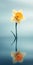 Minimalistic Surrealism: Elegant Daffodil Mobile Wallpaper For Elite And Samsung Tu8000