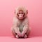 Minimalistic Symmetry: A Cute Baboon In Japanese Minimalism