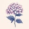 Minimalistic Vector Graphic Of Beautiful Pink Hydrangea Flowers