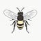 Minimalistic Whimsical Clipart Drawings Of Bee