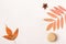 Minimalistic white autumn background with macaroon cookies and colorful leaves