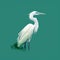 Minimalistic White Heron Illustration With Smokey Background