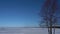 Minimalistic winter landscape, tree and snow-covered lake.