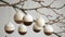 Minimalistic Wooden and Ceramic Christmas Ornaments Hanging from Bare Branches