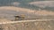 Mining dump trucks in the open pit mine. The dump truck goes on the technological road. The truck in the course of work.