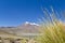 Miniques in Altiplano Chile #4