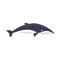 Minke whale icon, flat style