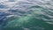 Minke whale swims alongside the boat in Antarctic waters