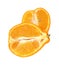 Minneola Sliced on White