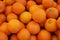 Minneola tangelo, Citrus x tangelo \'Minneola Tangelo\'