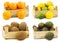 Minneola tangelo fruit, mixed lime and lemon coconuts and avocado`s in a wooden crate