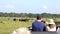 Minneriya National Park, Sri Lanka - 2019-03-23 - safari people 3 - line of jeeps watches elephants