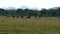 Minneriya National Park, Sri Lanka - 2019-03-23 - safari people 6 - line of jeeps heads home at sundown