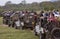 Minneriya, Sri Lanka - 2019-03-23 - Tourist Jeeps Line Up To See Animals in Sri Lanka Park