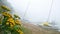 A Minnesota lake beach on a foggy morning with a boat dock and beached sailboats waiting to be enjoyed, and yellow flowers.