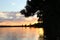 Minnesota Sunset as  seen through a  jack pine tree in Minnesota