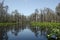 Minnies Lake Canoe Kayak Trail, Okefenokee Swamp National Wildlife Refuge